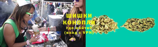 шишки Володарск